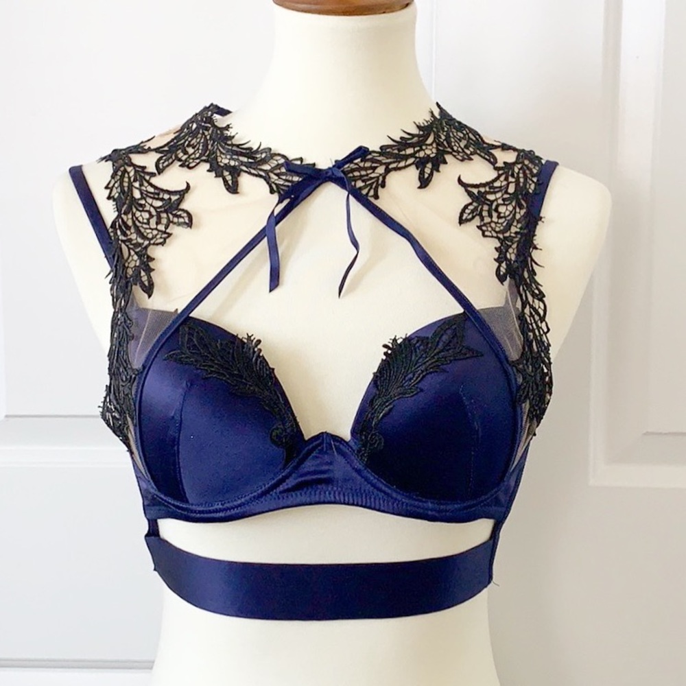 Pleasure State Silk and Lace Bra